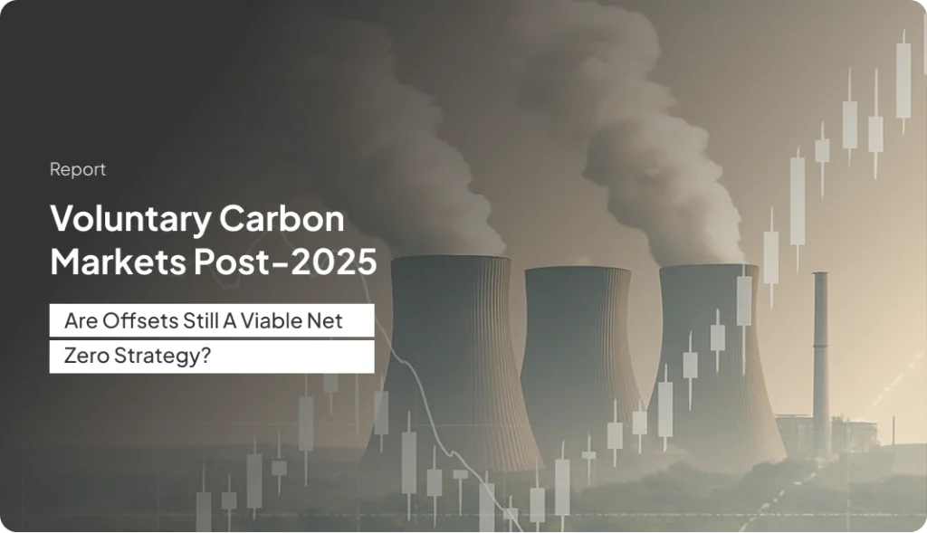 Voluntary Carbon Markets